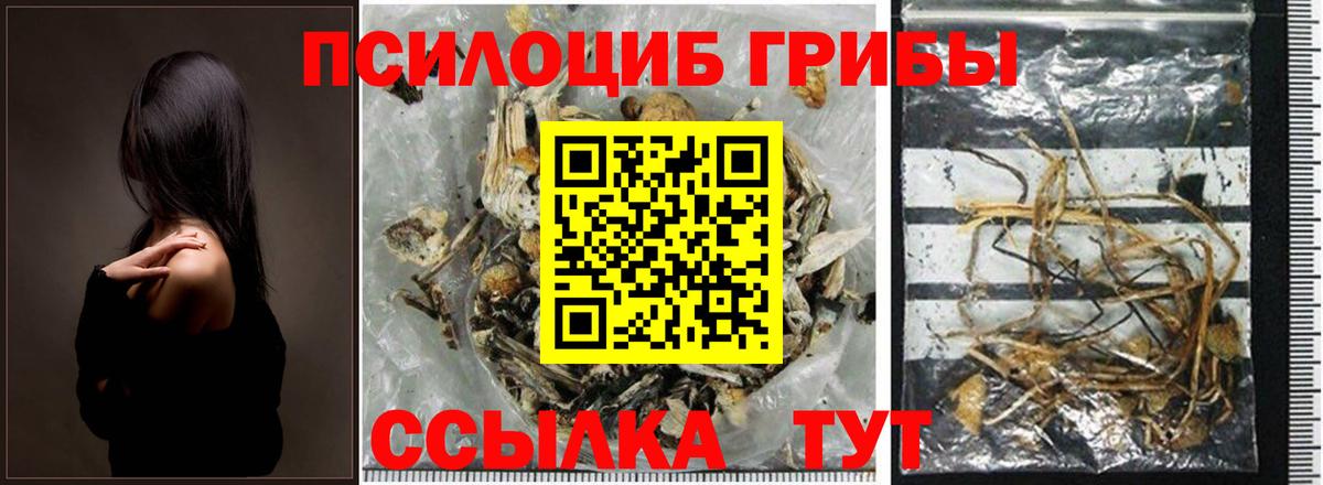 Галлюциногенные грибы GOLDEN TEACHER Назрань